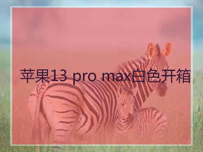 苹果13 pro max白色开箱