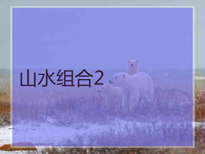 山水组合2