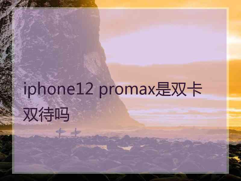 iphone12 promax是双卡双待吗