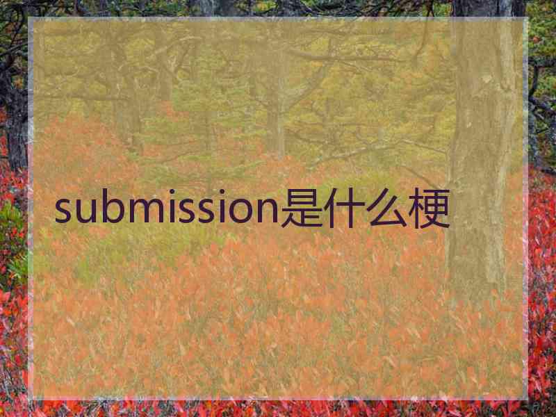 submission是什么梗