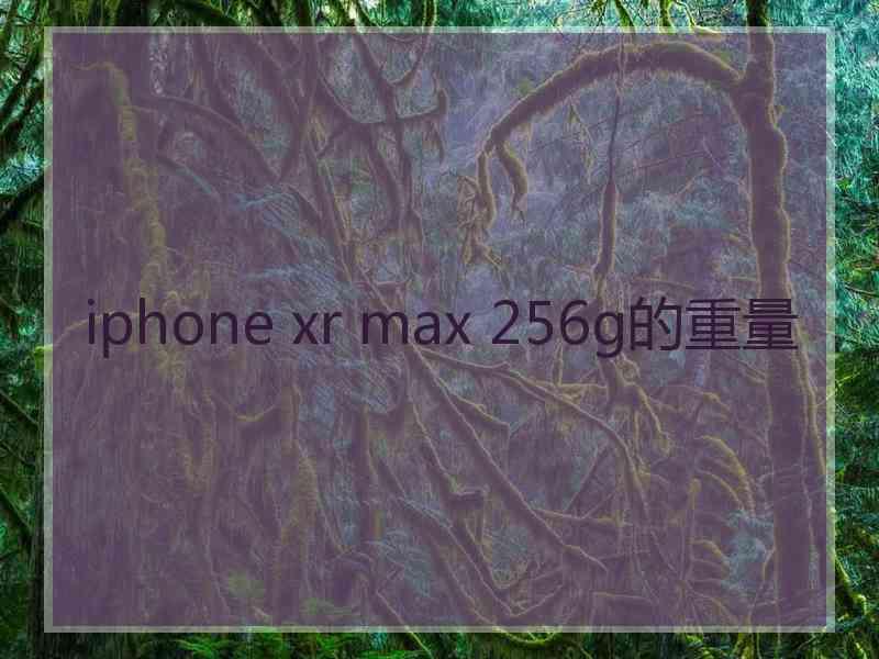 iphone xr max 256g的重量