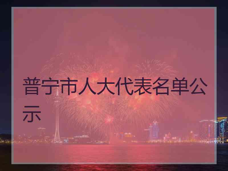 普宁市人大代表名单公示