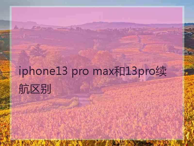 iphone13 pro max和13pro续航区别