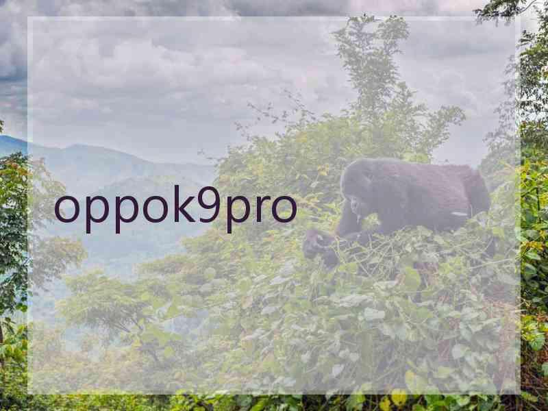 oppok9pro