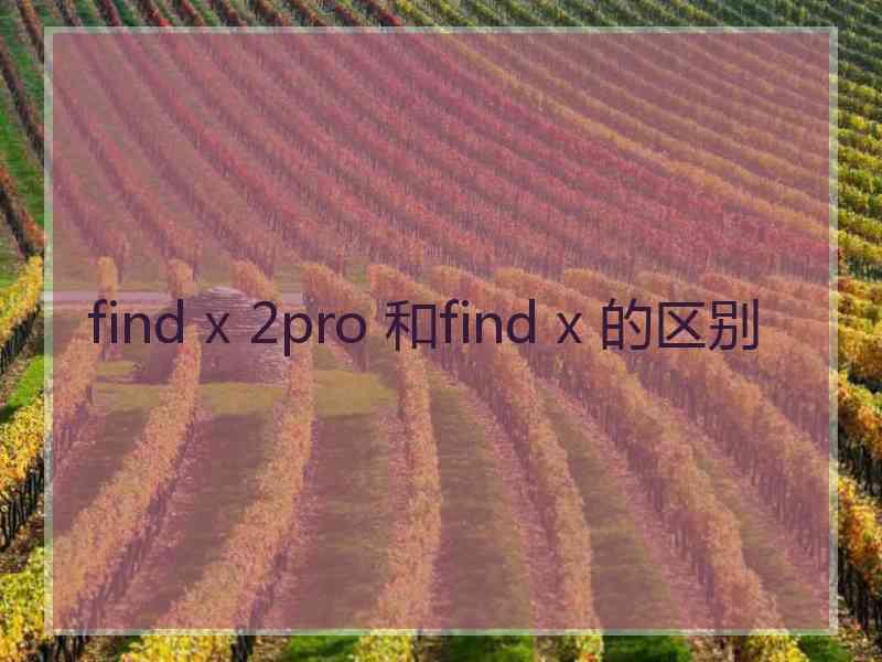 find x 2pro 和find x 的区别