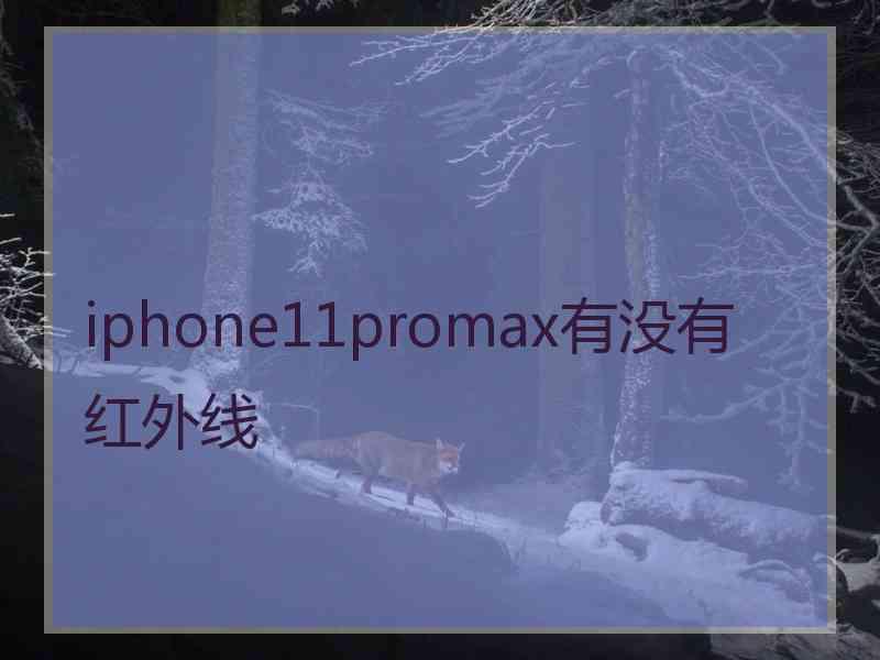 iphone11promax有没有红外线