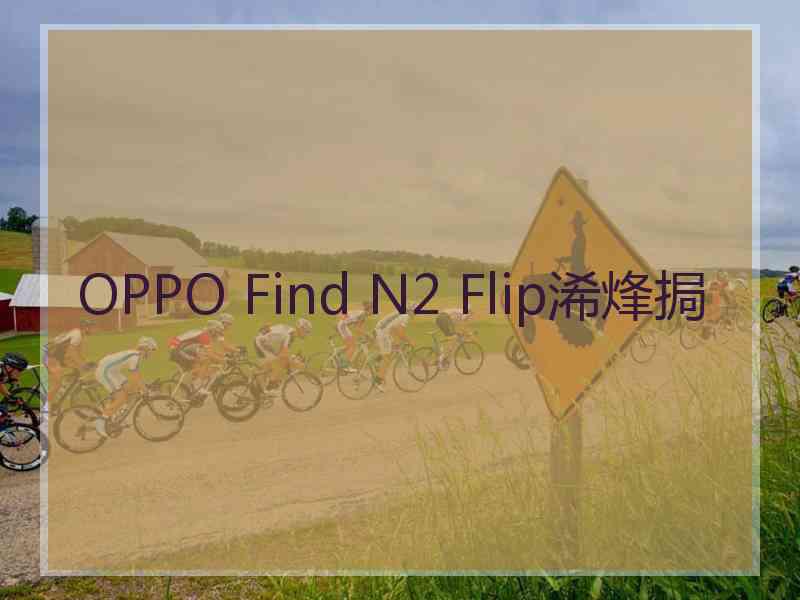 OPPO Find N2 Flip浠烽挶