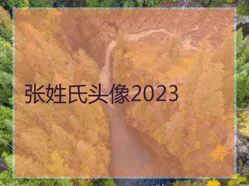 张姓氏头像2023