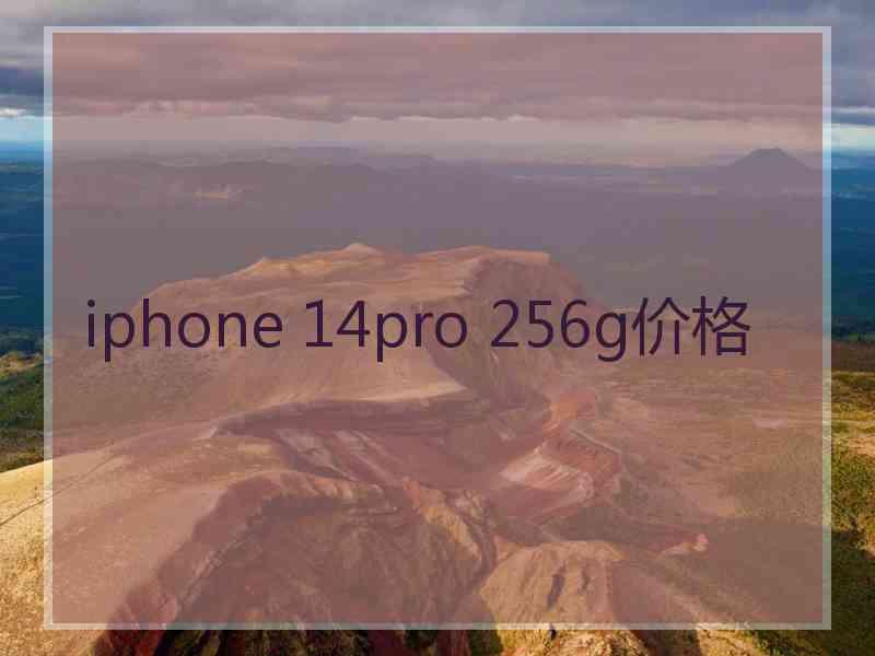 iphone 14pro 256g价格