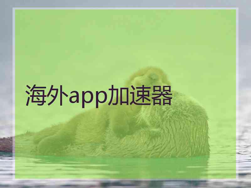 海外app加速器