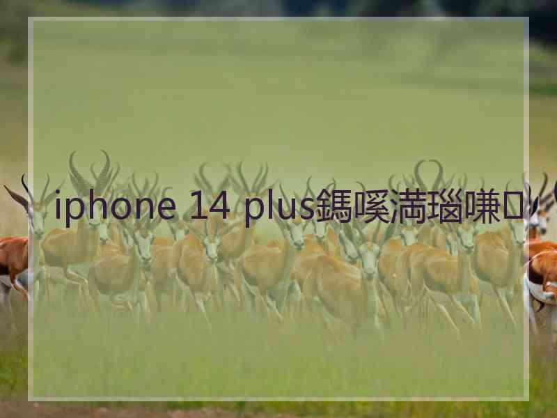 iphone 14 plus鎷嗘満瑙嗛