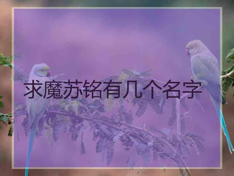 求魔苏铭有几个名字