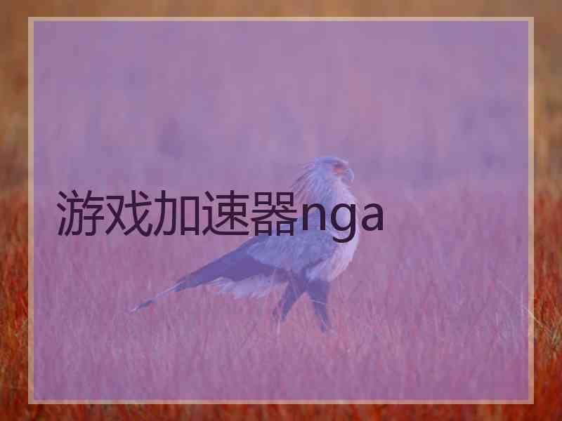 游戏加速器nga