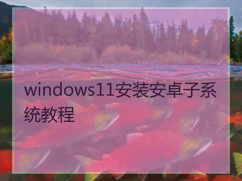 windows11安装安卓子系统教程