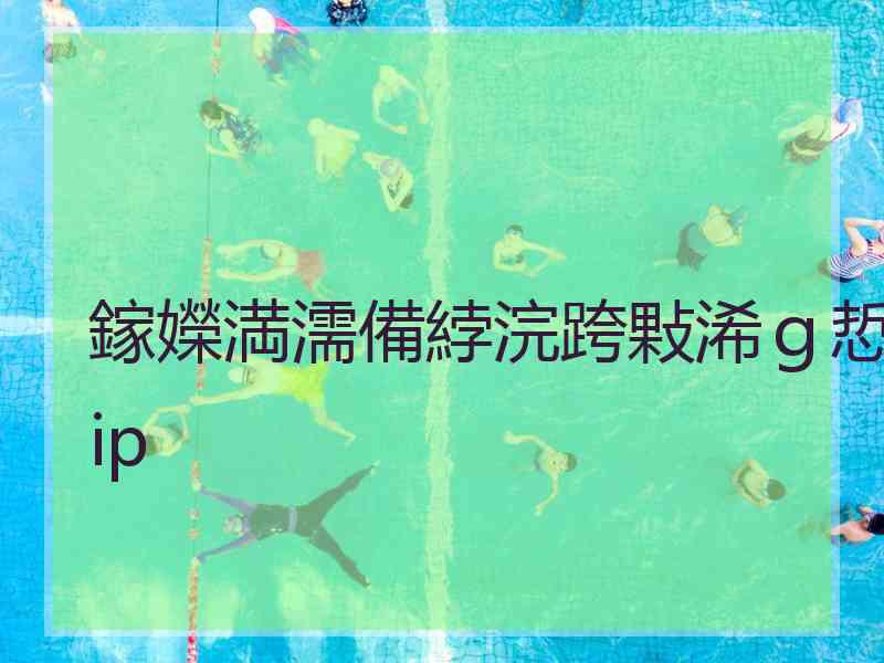 鎵嬫満濡備綍浣跨敤浠ｇ悊ip