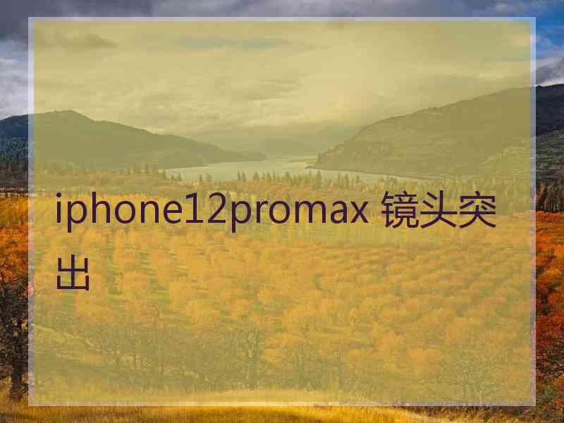 iphone12promax 镜头突出