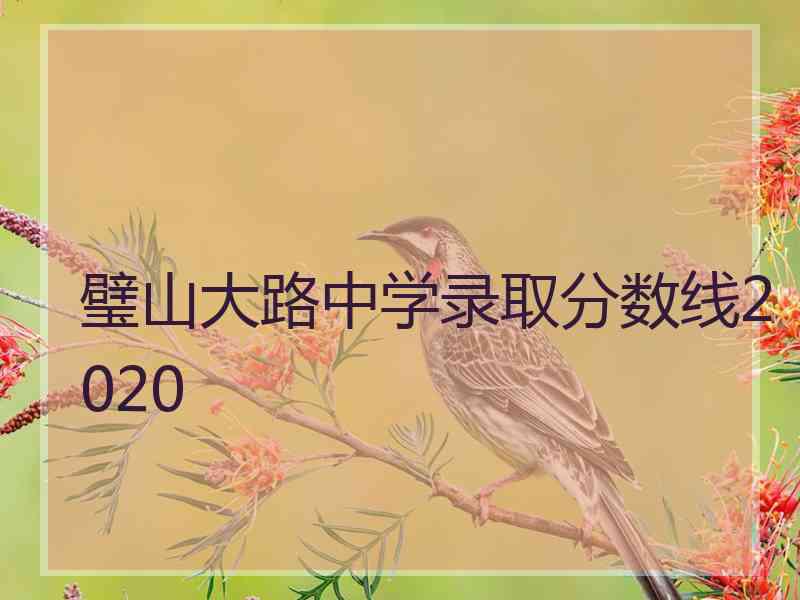 璧山大路中学录取分数线2020