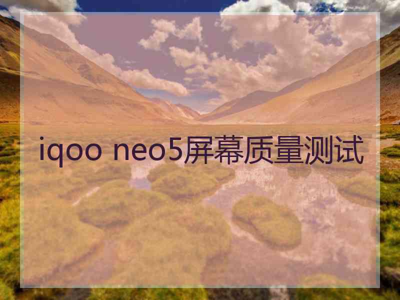 iqoo neo5屏幕质量测试