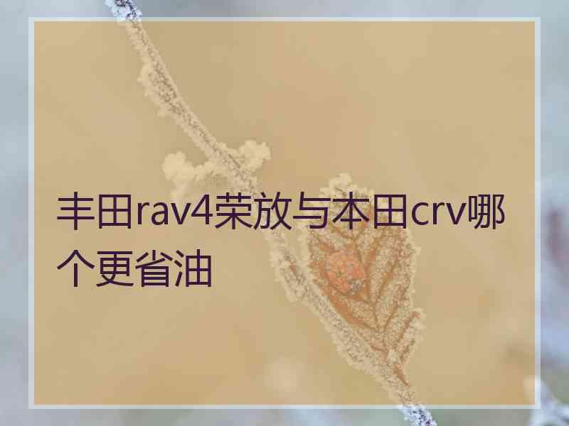 丰田rav4荣放与本田crv哪个更省油