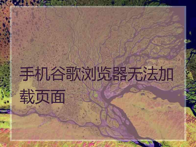 手机谷歌浏览器无法加载页面