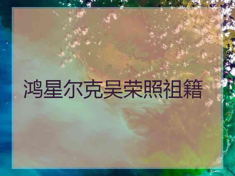 鸿星尔克吴荣照祖籍