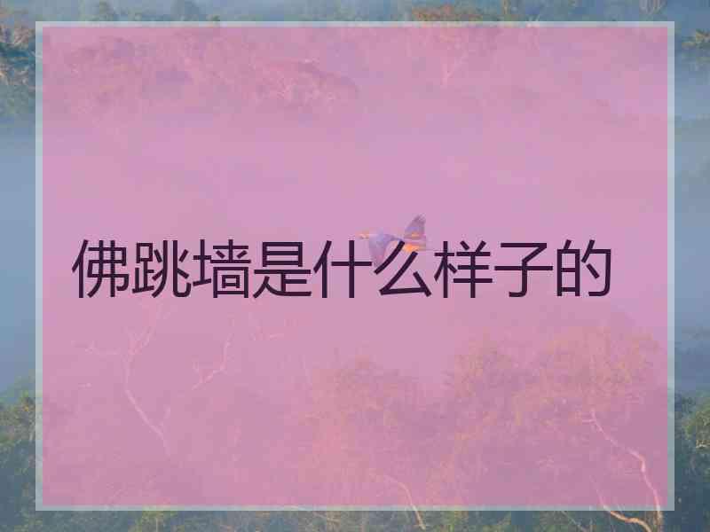 佛跳墙是什么样子的