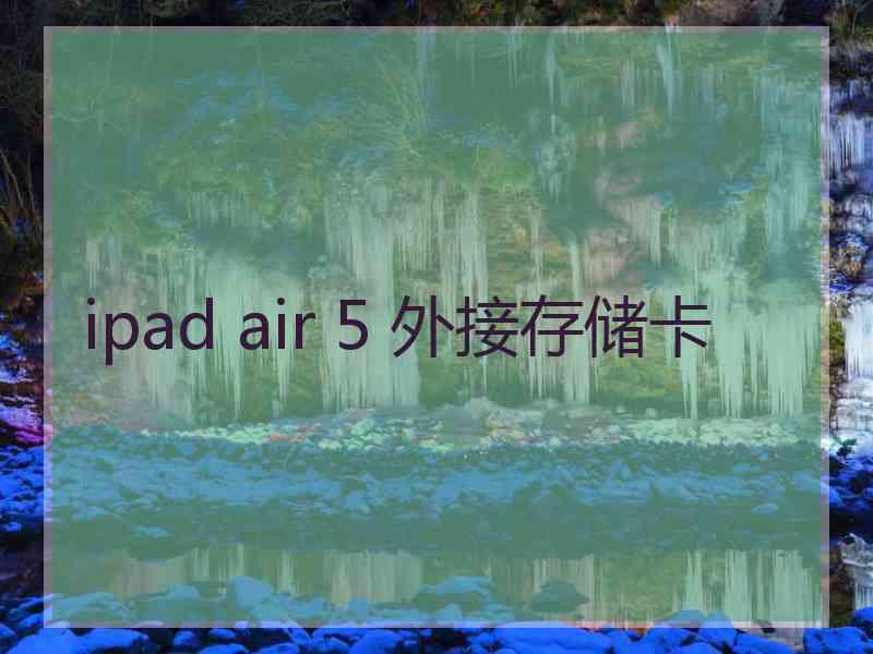 ipad air 5 外接存储卡