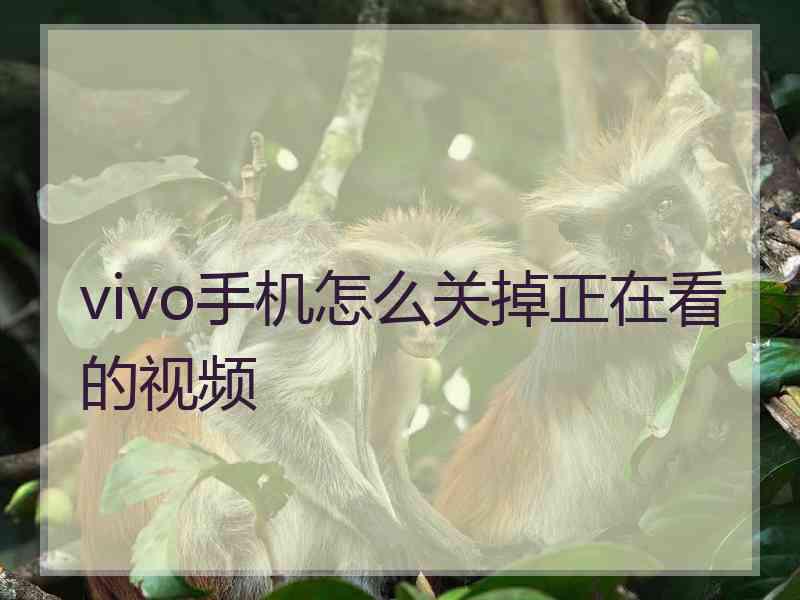 vivo手机怎么关掉正在看的视频