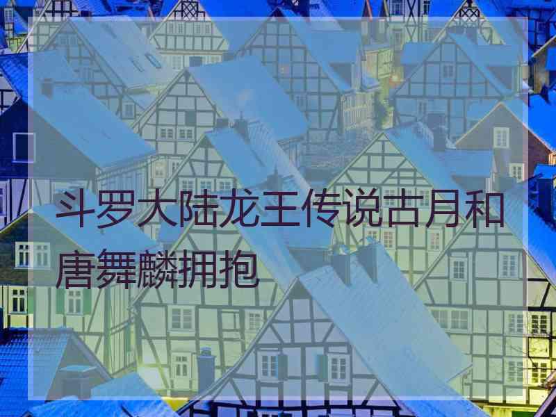 斗罗大陆龙王传说古月和唐舞麟拥抱