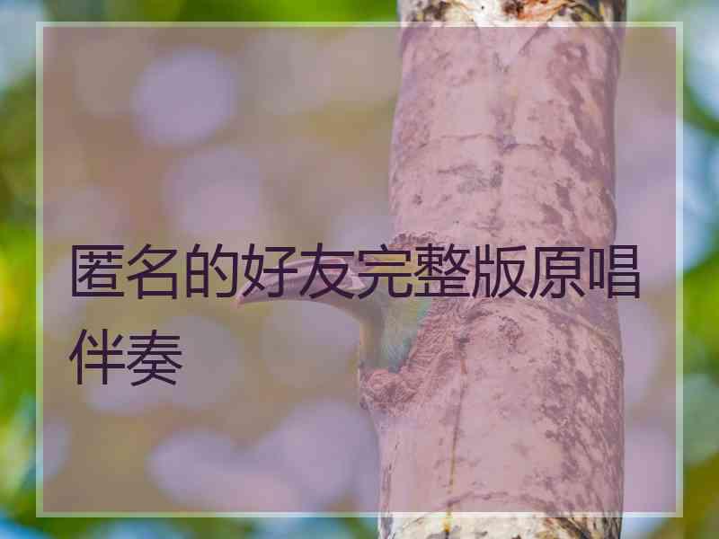 匿名的好友完整版原唱伴奏