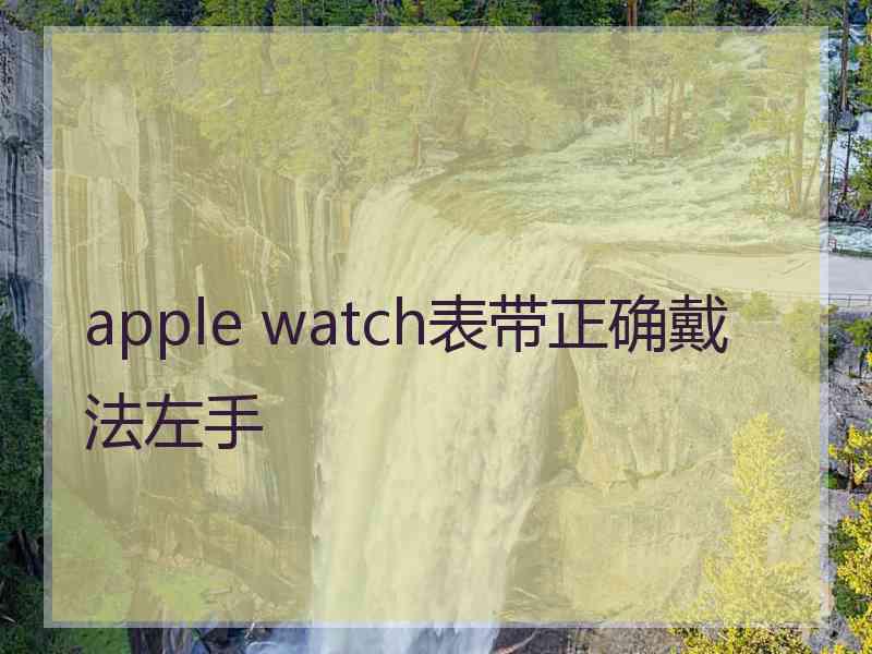 apple watch表带正确戴法左手