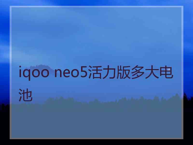 iqoo neo5活力版多大电池