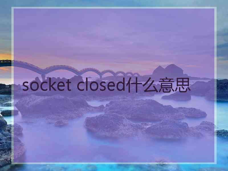 socket closed什么意思