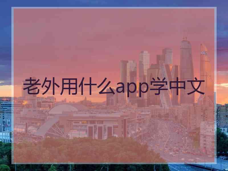 老外用什么app学中文