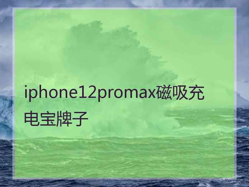 iphone12promax磁吸充电宝牌子