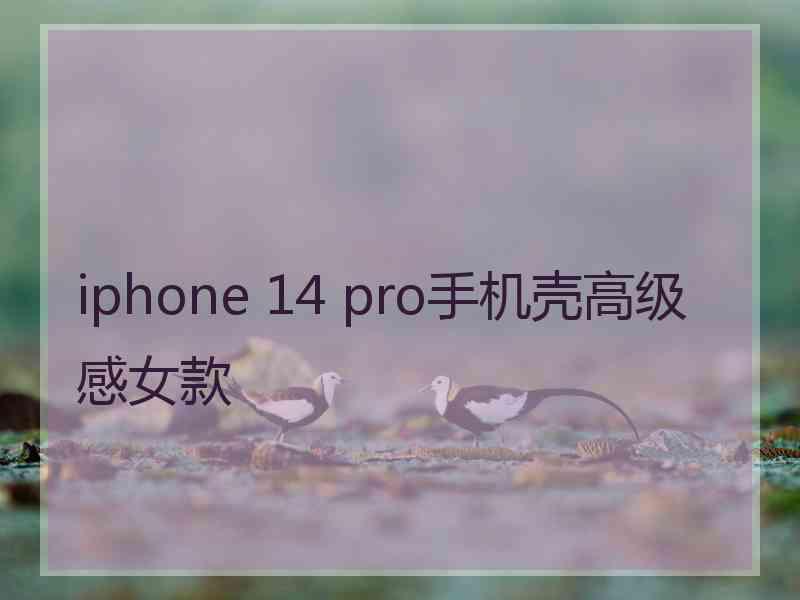 iphone 14 pro手机壳高级感女款