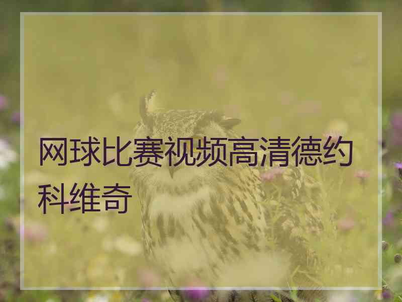 网球比赛视频高清德约科维奇