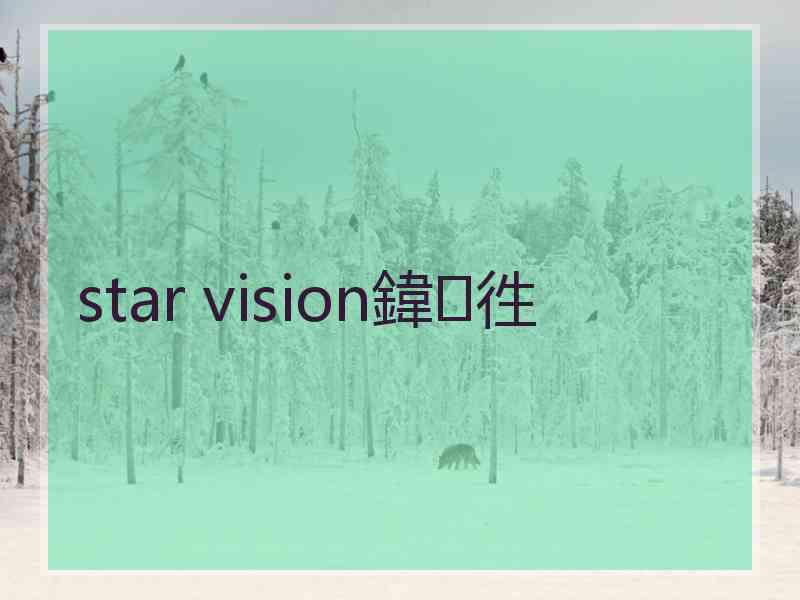 star vision鍏徃