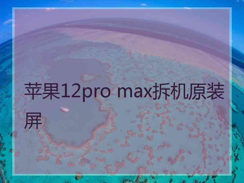 苹果12pro max拆机原装屏