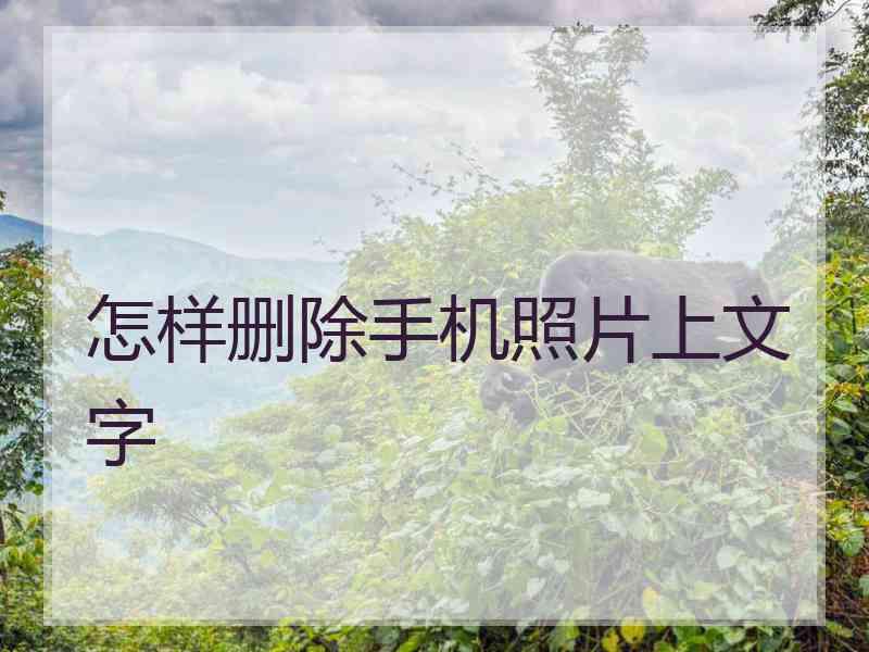 怎样删除手机照片上文字