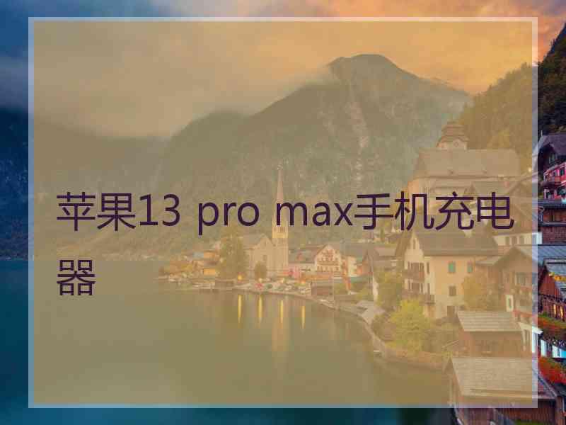 苹果13 pro max手机充电器