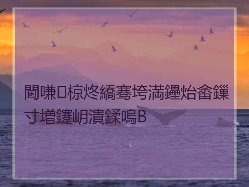 閫嗛椋炵繑骞垮満鑸炲畬鏁寸増鑳岄潰鍒嗚В