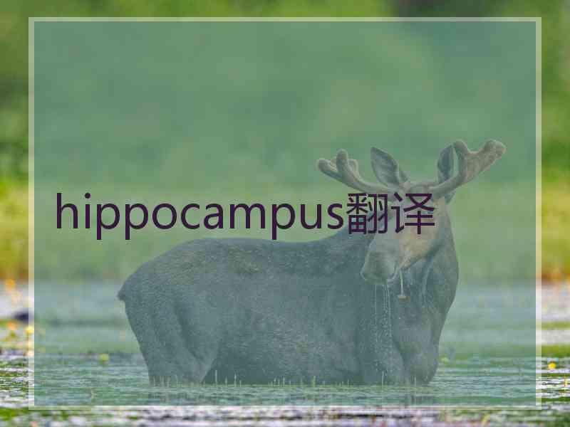 hippocampus翻译