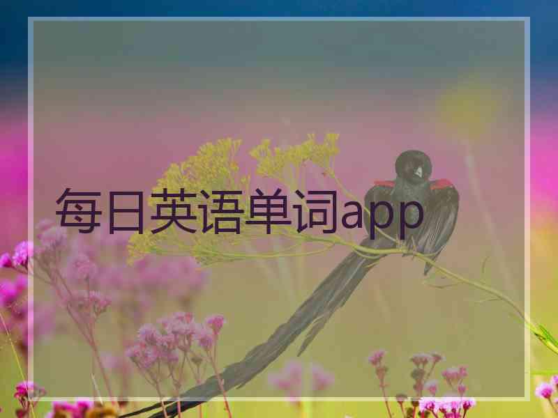 每日英语单词app