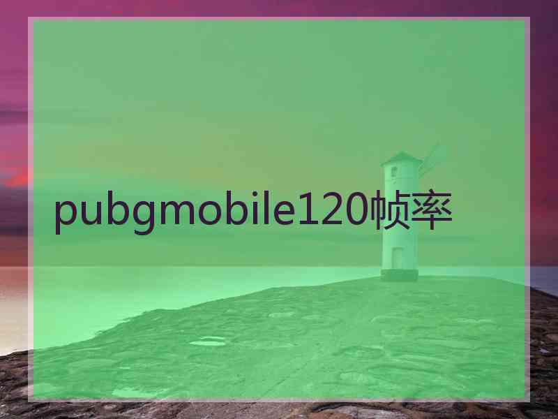 pubgmobile120帧率