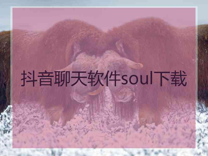 抖音聊天软件soul下载