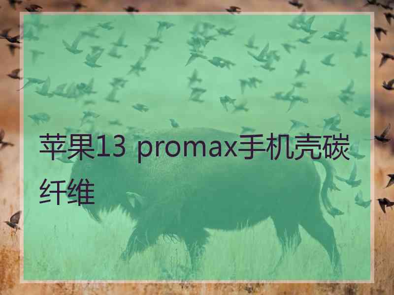 苹果13 promax手机壳碳纤维