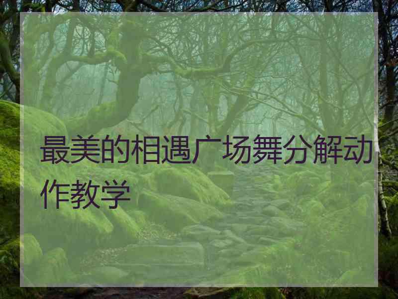 最美的相遇广场舞分解动作教学