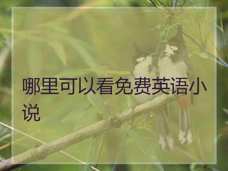 哪里可以看免费英语小说