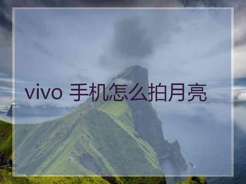 vivo 手机怎么拍月亮